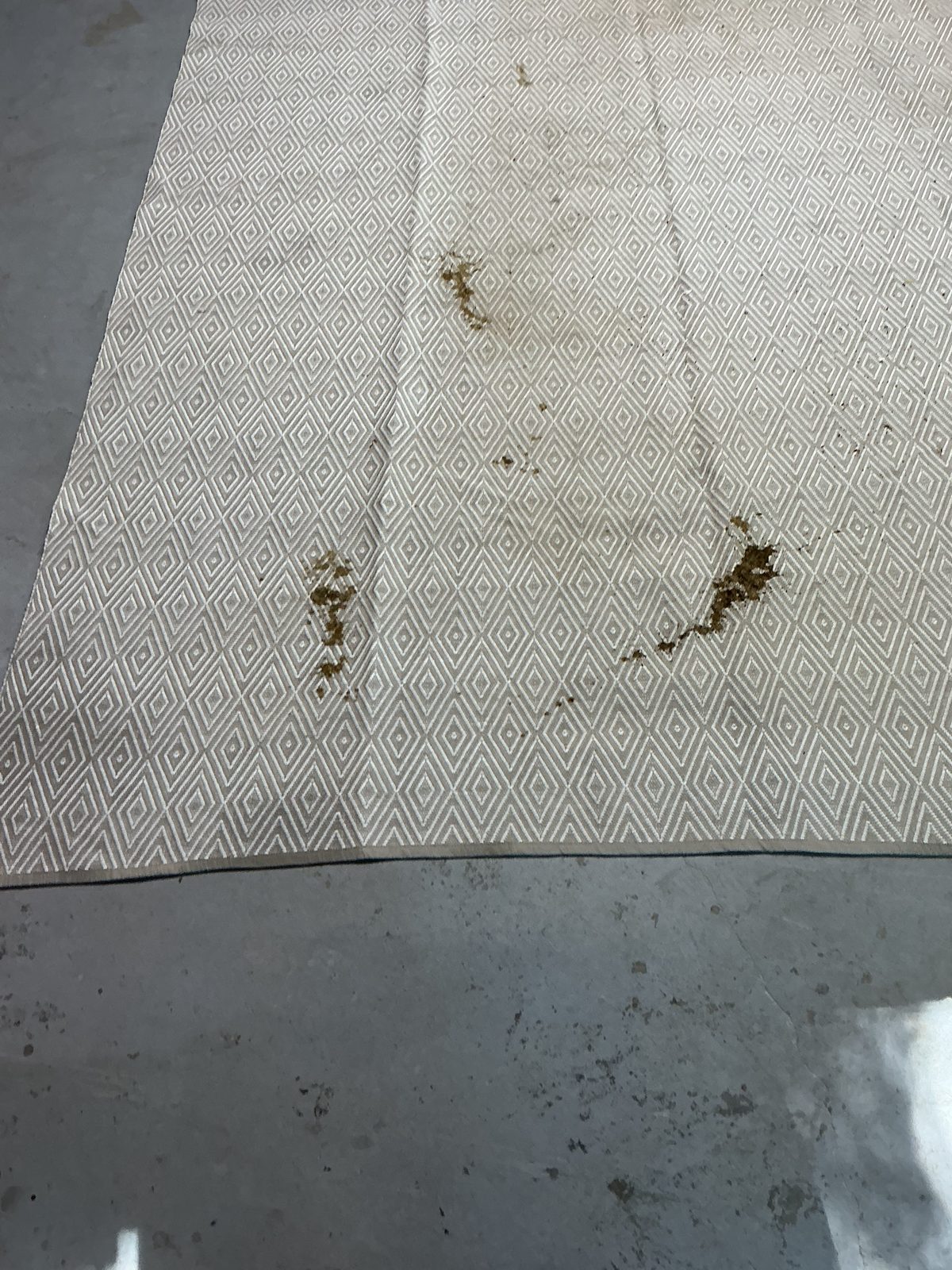 Close-up of brown stains on a diamond-pattern flatweave rug